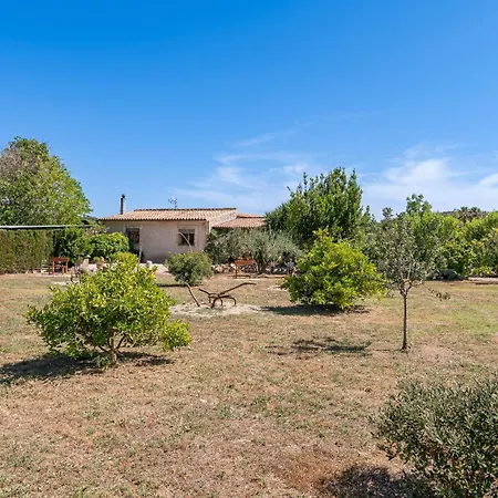 Villa Roma Nou By Sealand